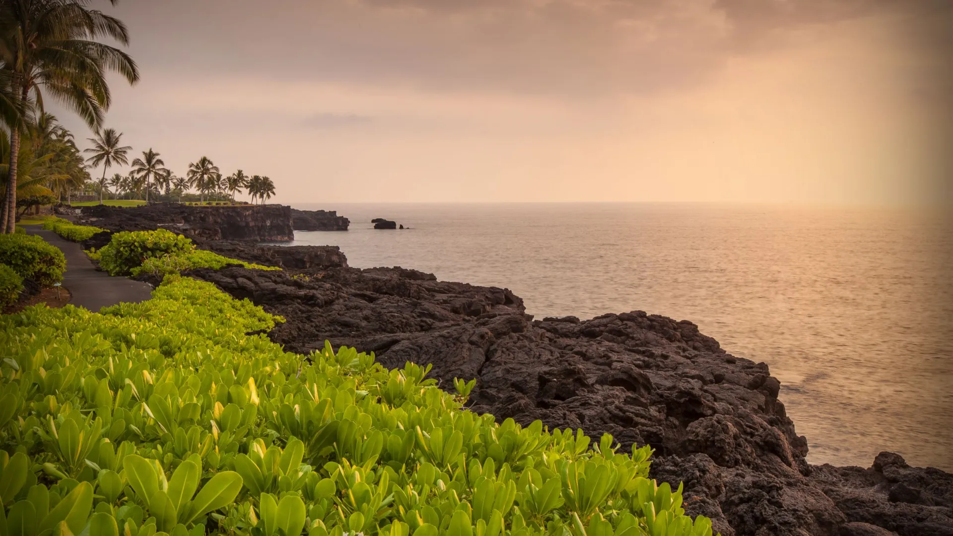 Rocky coastline with lush greenery and palm trees at sunset.